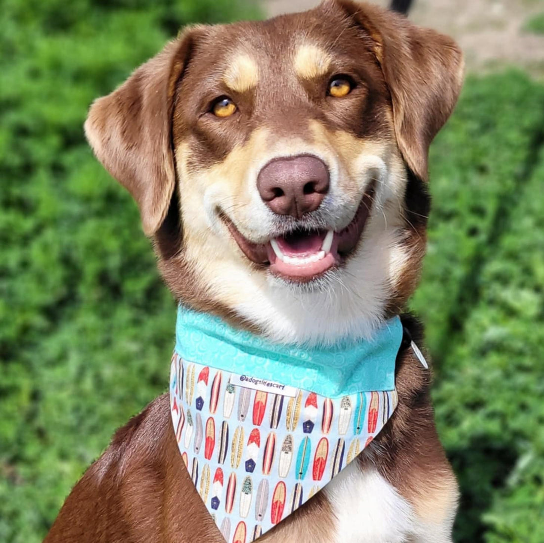 8 Benefits of Slide-on Bandanas