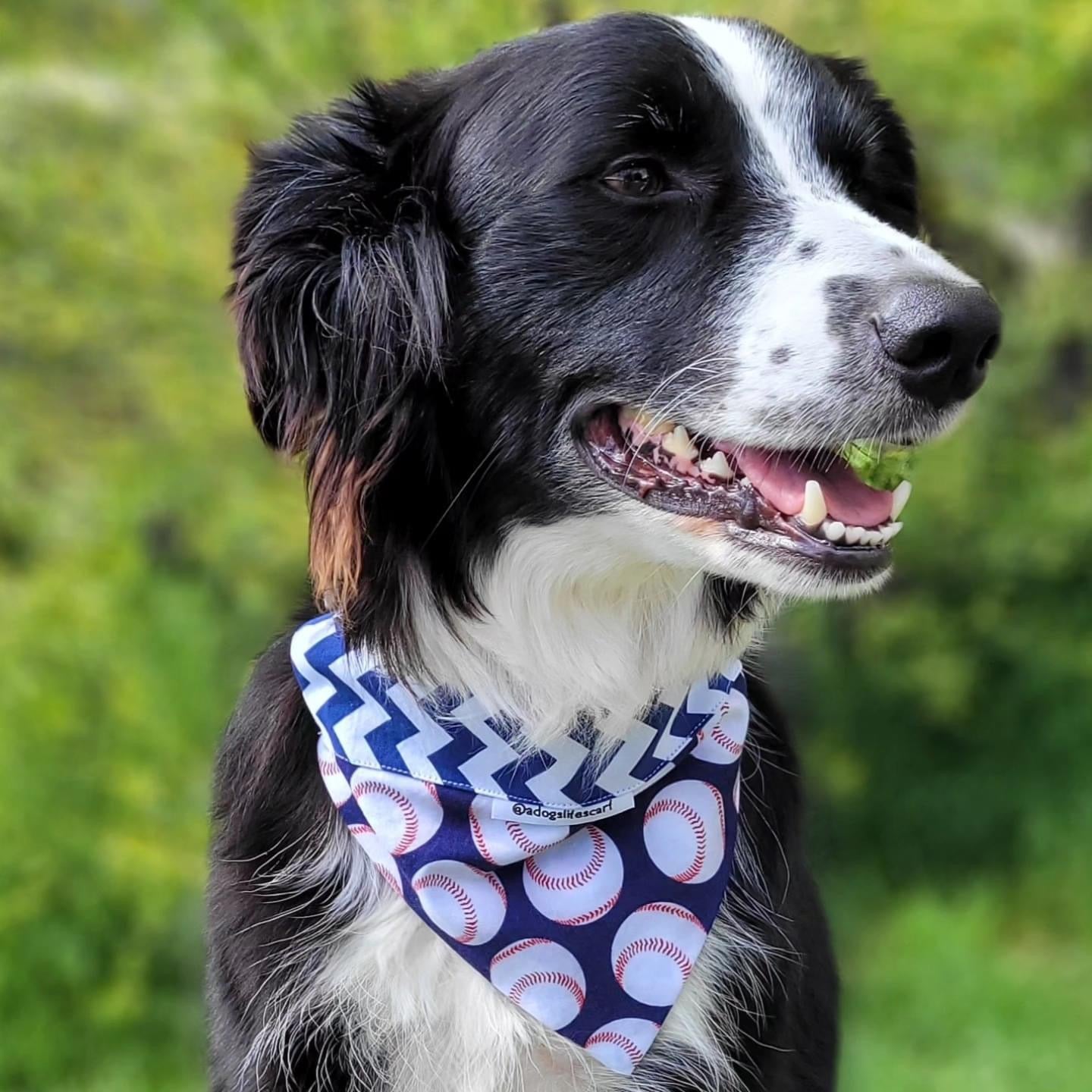 Baseball Collar Scarf