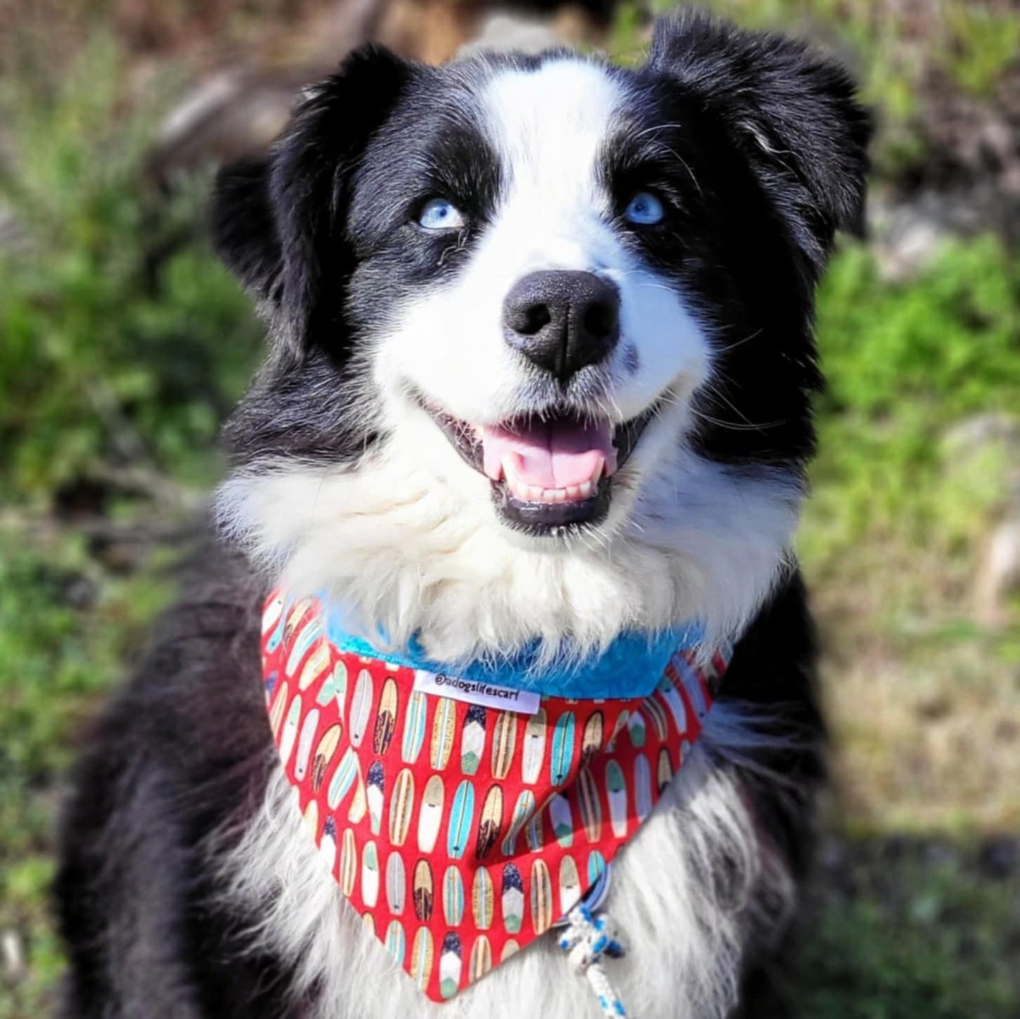Surfboards red/blue Collar Scarf