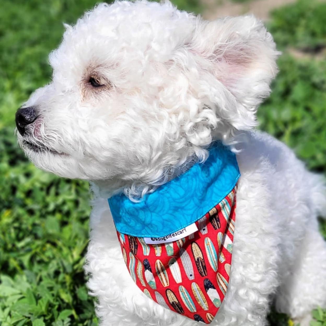 Surfboards red/blue Collar Scarf