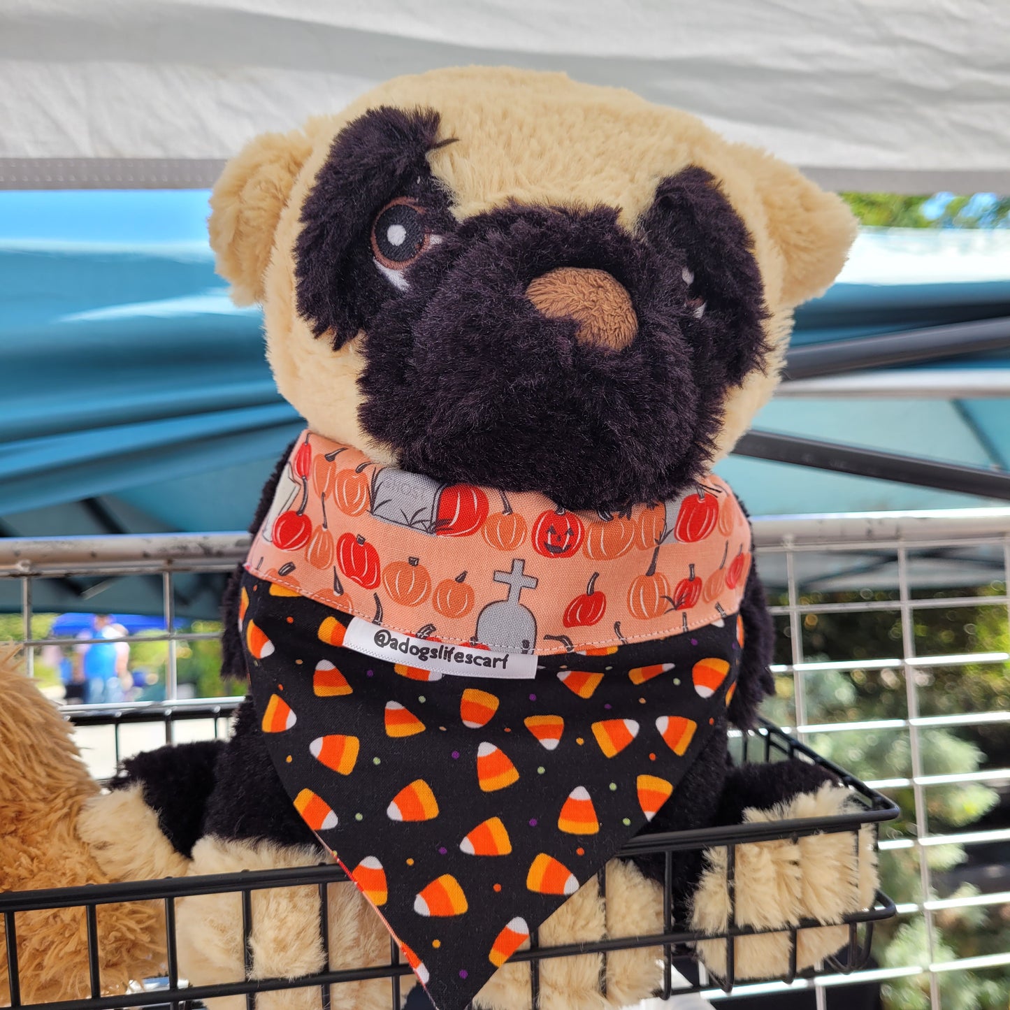 Spooky Pumpkins Halloween Scarf