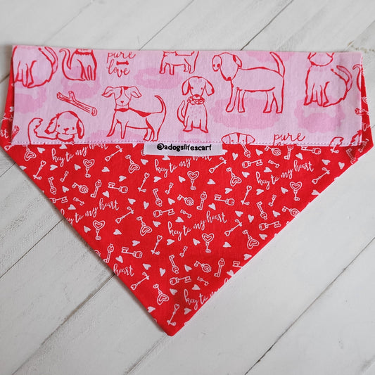 Pure Love Valentine's Collar Scarf