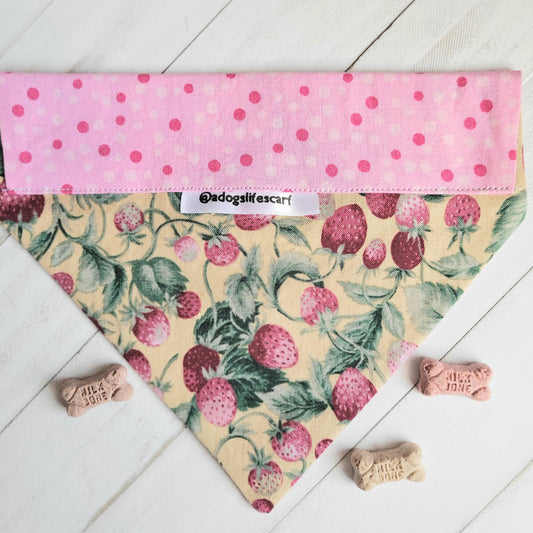Strawberry Pop Collar Scarf
