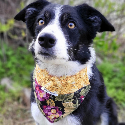 Red Wine Grapes Scarf