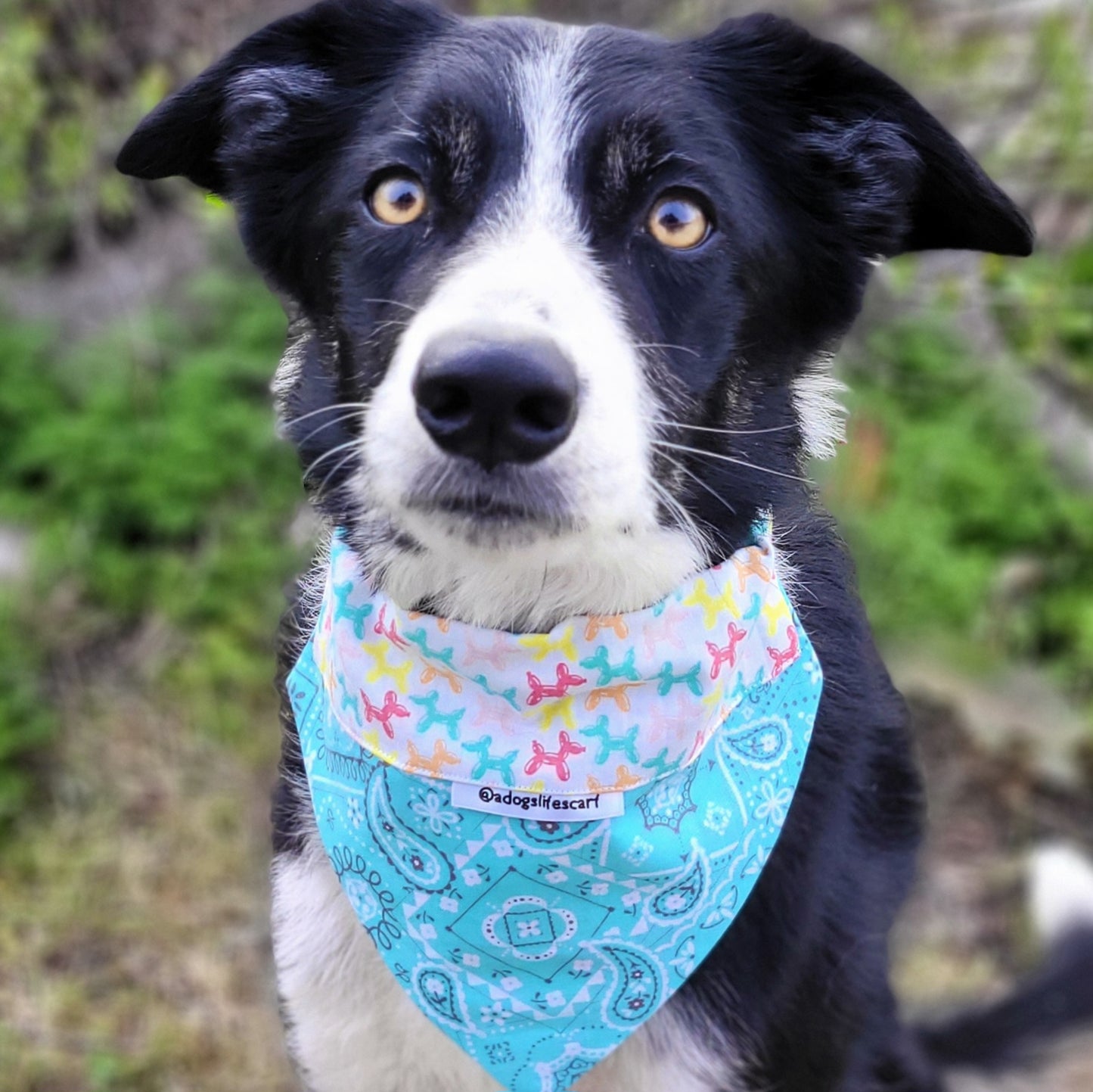 Bandana Balloon Dogs Collar Scarf