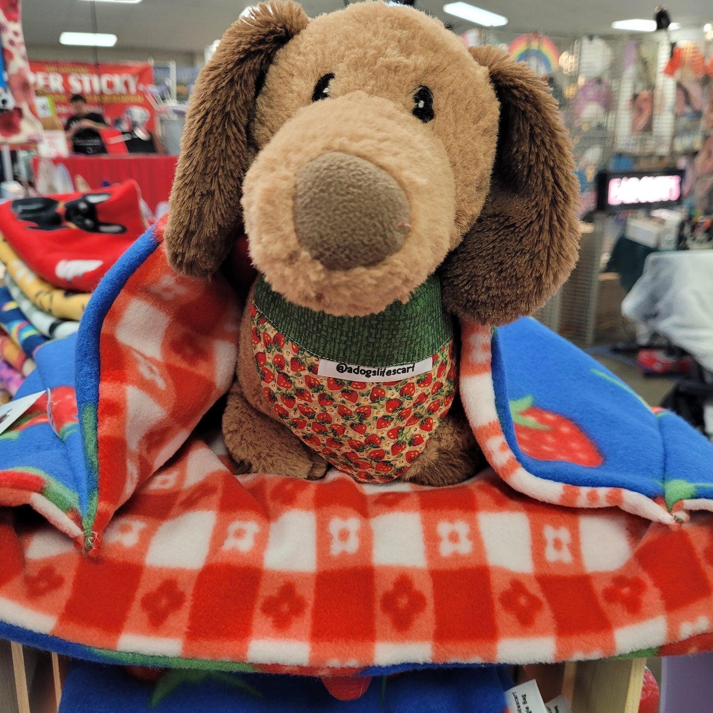 Strawberry Picnic Snuggle Bag