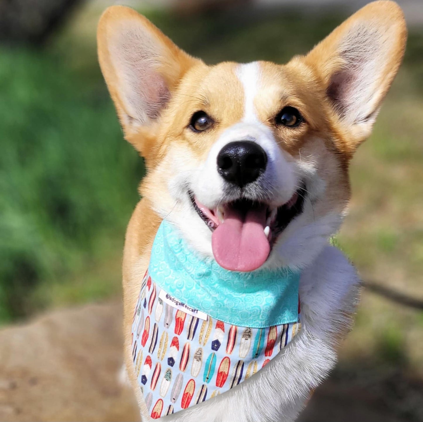 Surfboards blue/aqua Collar Scarf