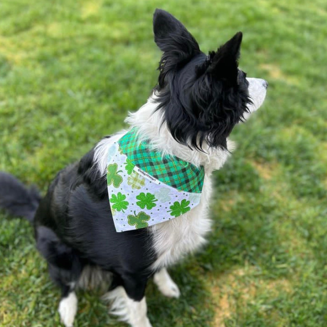 Plaid Multi Clovers St. Patrick's Day Scarf