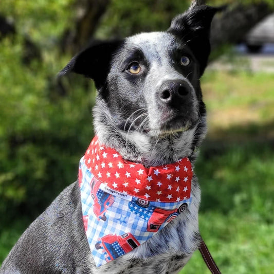 Red Trucks Patriotic Scarf