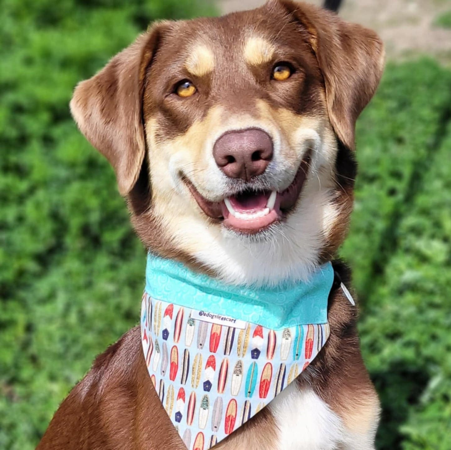 Surfboards blue/aqua Collar Scarf