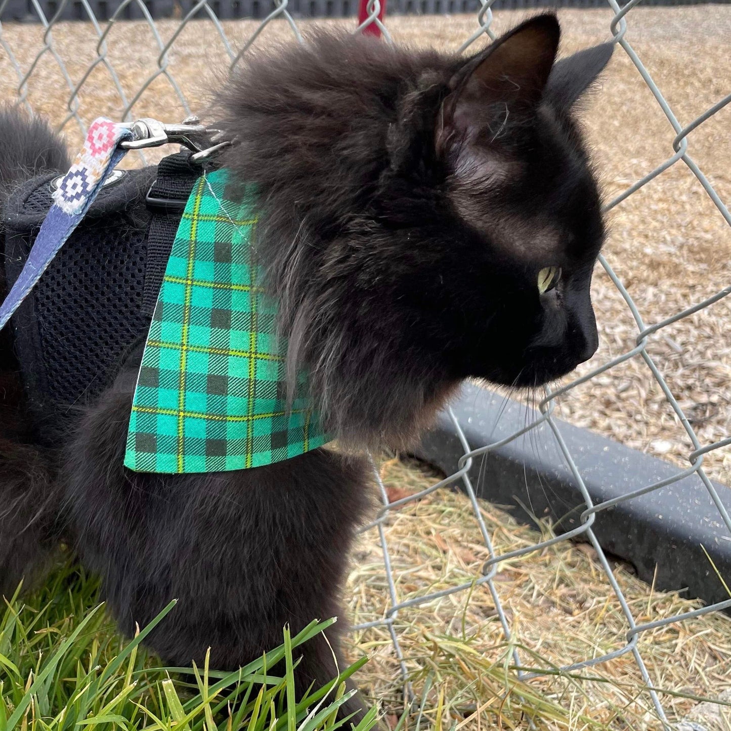 Plaid Multi Clovers St. Patrick's Day Scarf