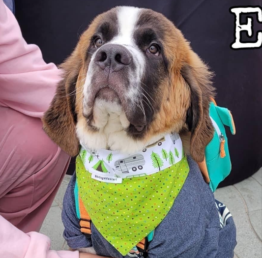 Let’s Go Camping Scarf