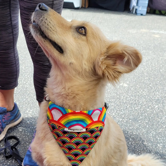 Rainbow Pride Scarf
