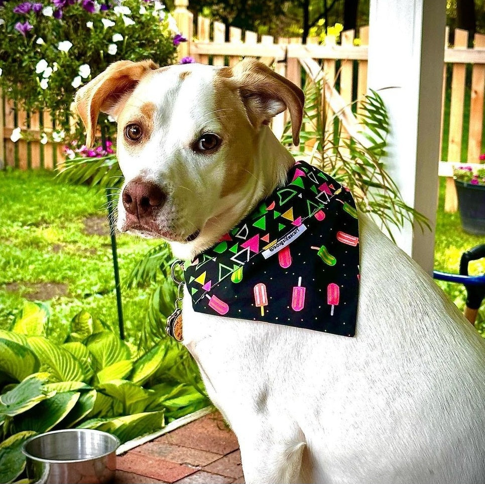 Neon 80s Throwback Scarf