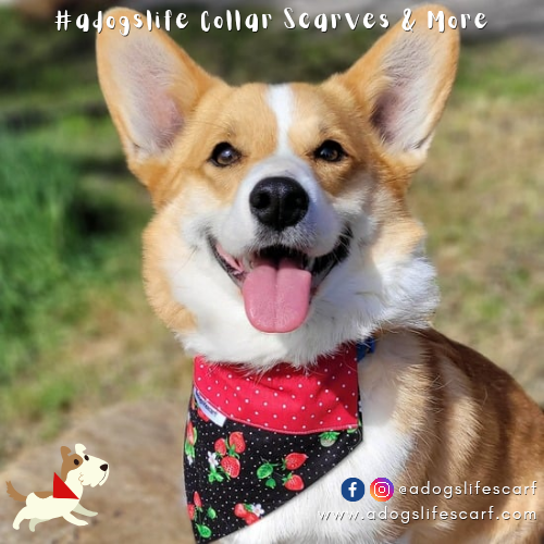 Strawberry Dreams Collar Scarf