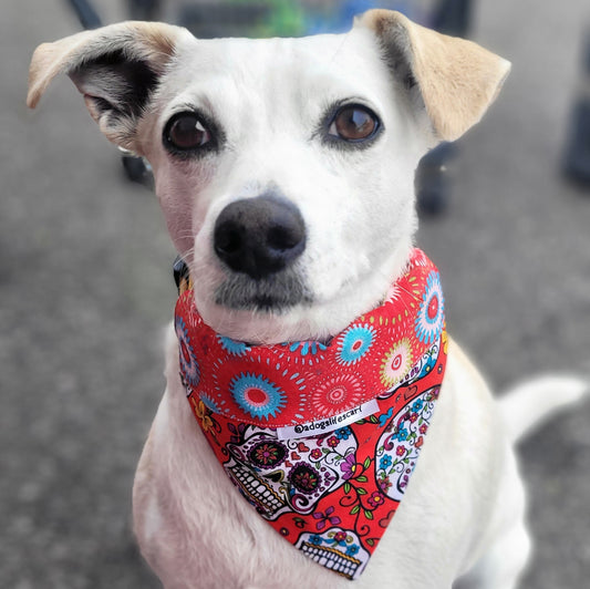 Dia de los Muertos Halloween Collar Scarf