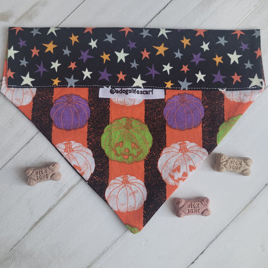 Starry Pumpkins Halloween Collar Scarf