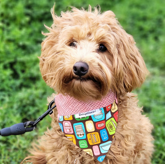 Vintage In the Kitchen Collar Scarf