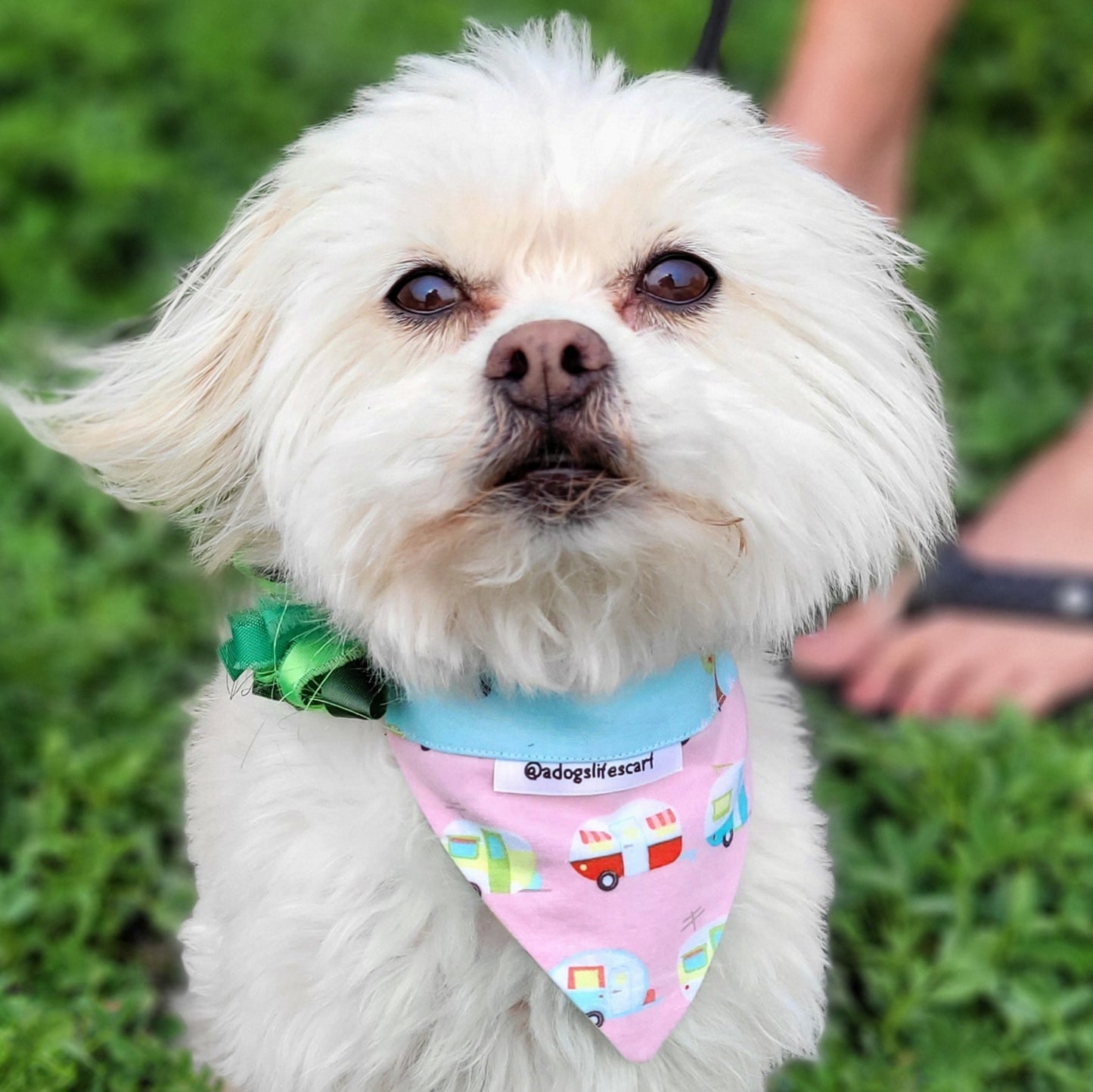 Retro Trailers Collar Scarf