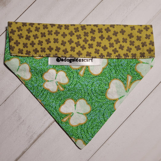 Golden Clovers St. Patrick's Day Scarf