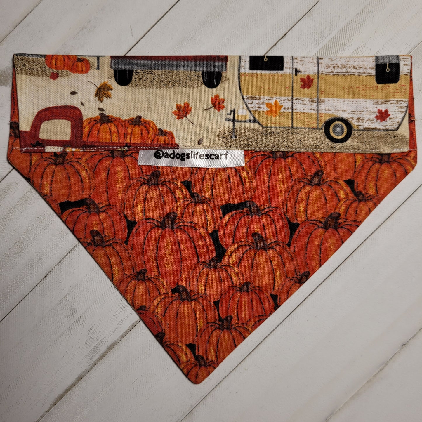 Hauling Pumpkins Fall Scarf