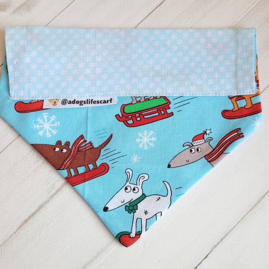 Sledding Dogs Winter Scarf