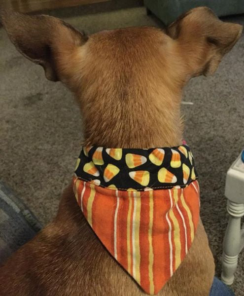 Halloween Collar Scarves