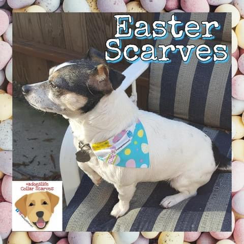 Easter/Spring Collar Scarves