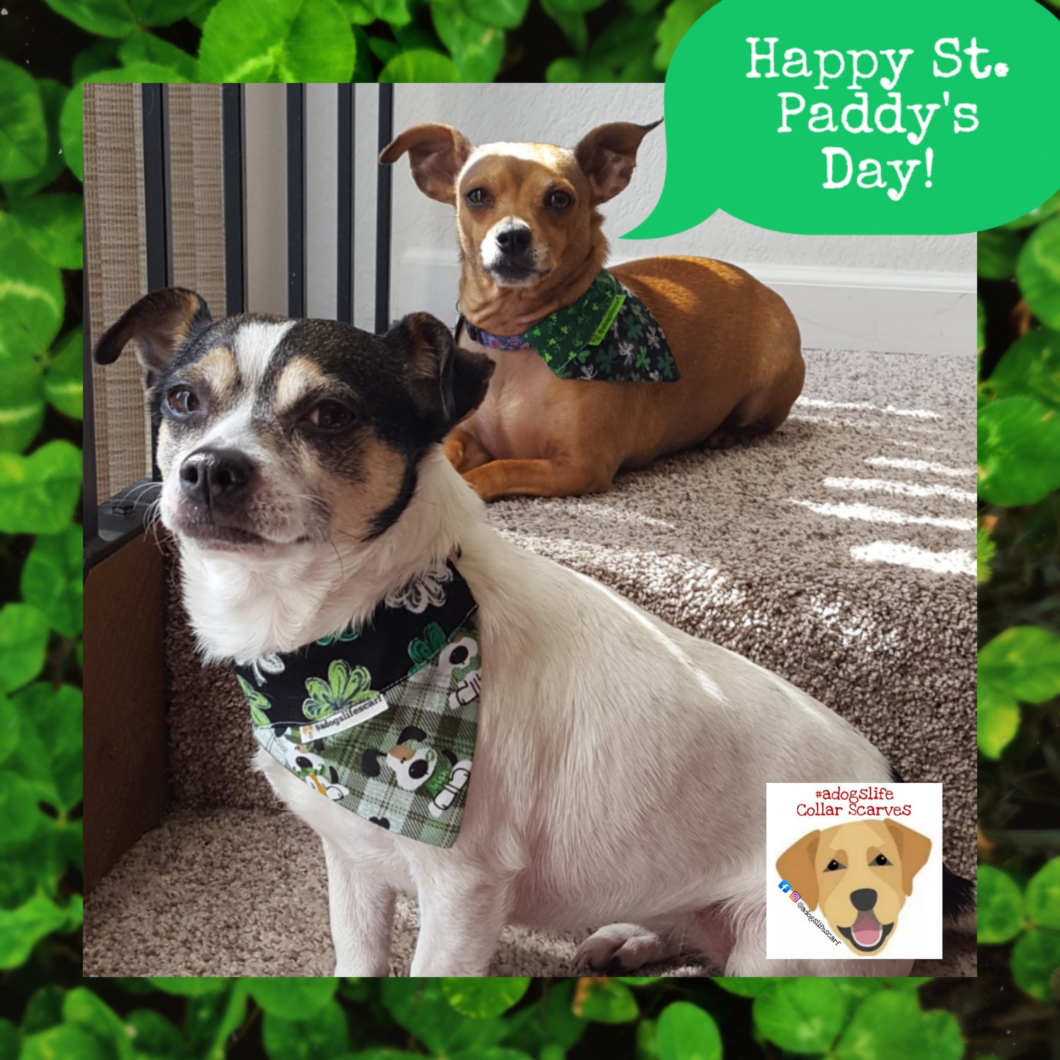 St. Patrick’s Day Collar Scarves