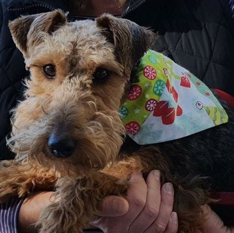 Christmas/Winter Collar Scarves