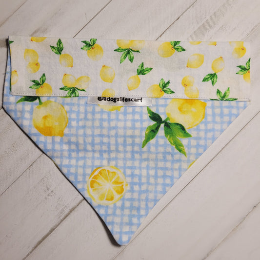 Fresh Lemons Scarf