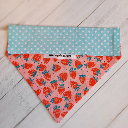 Strawberry-licious Scarf