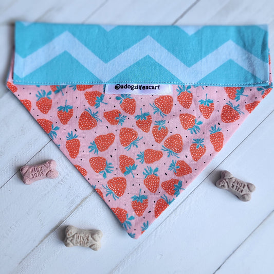 Strawberry-licious Scarf