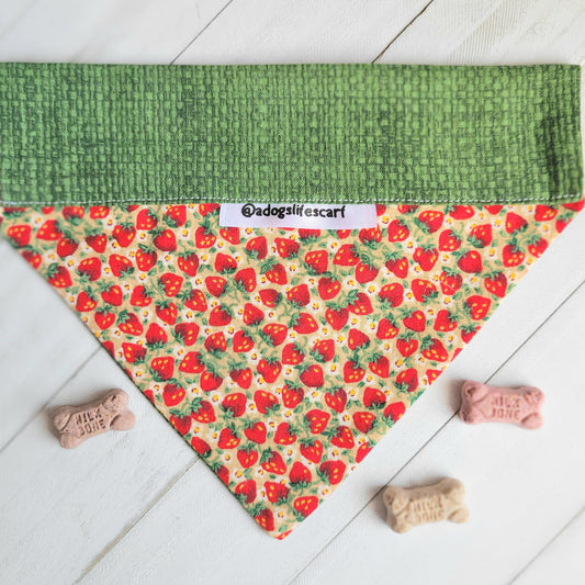 Strawberry Basket Collar Scarf