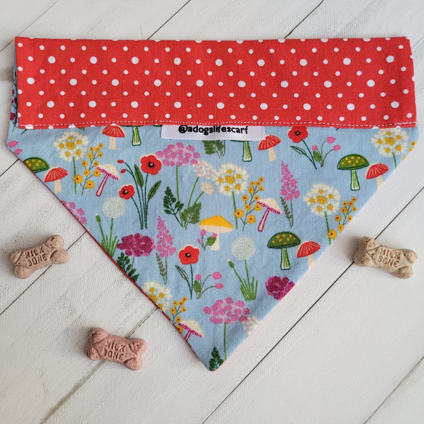 Forrest Mushrooms blue Collar Scarf