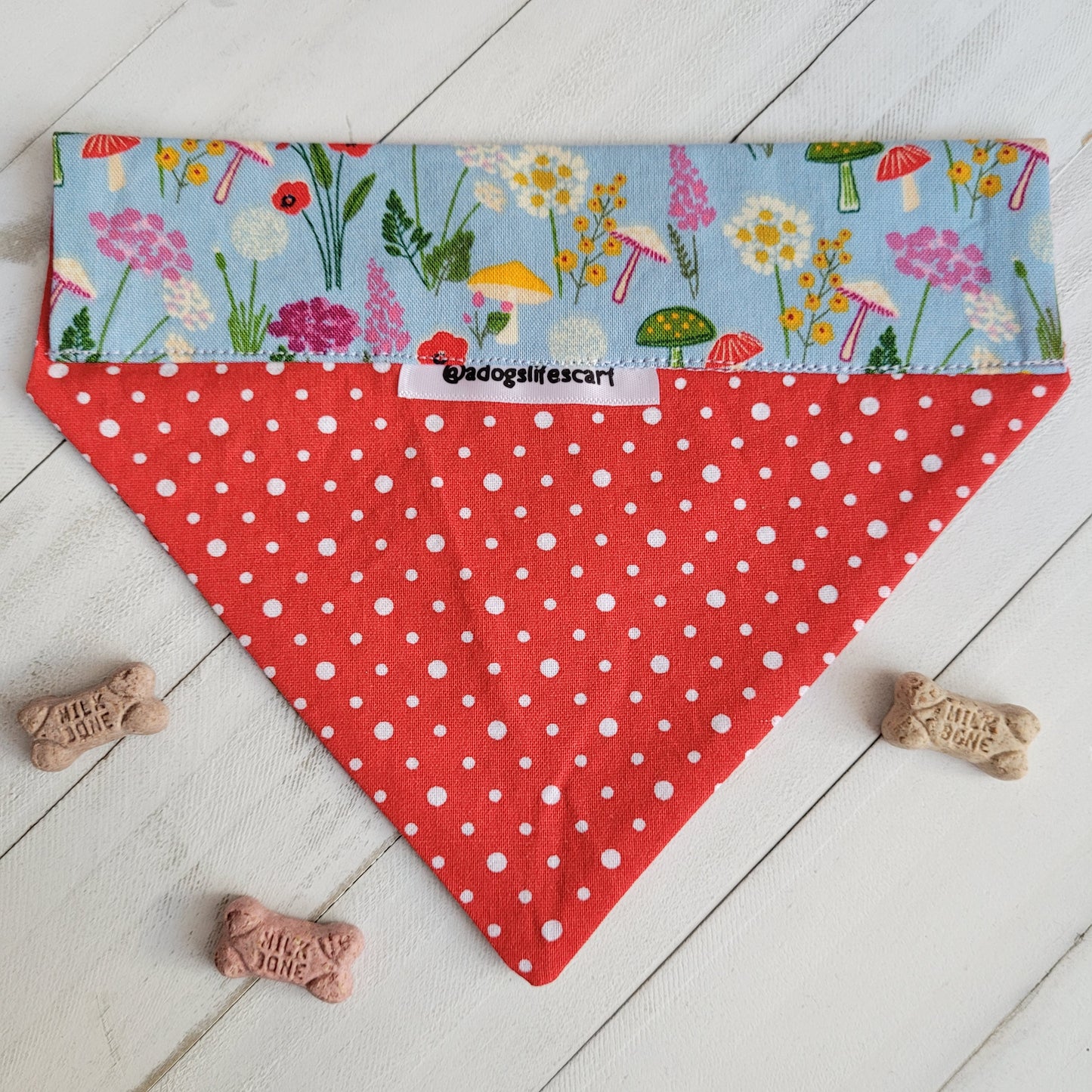 Forrest Mushrooms blue Collar Scarf