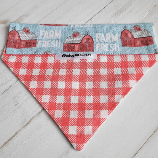 Farm Fresh Collar Scarf