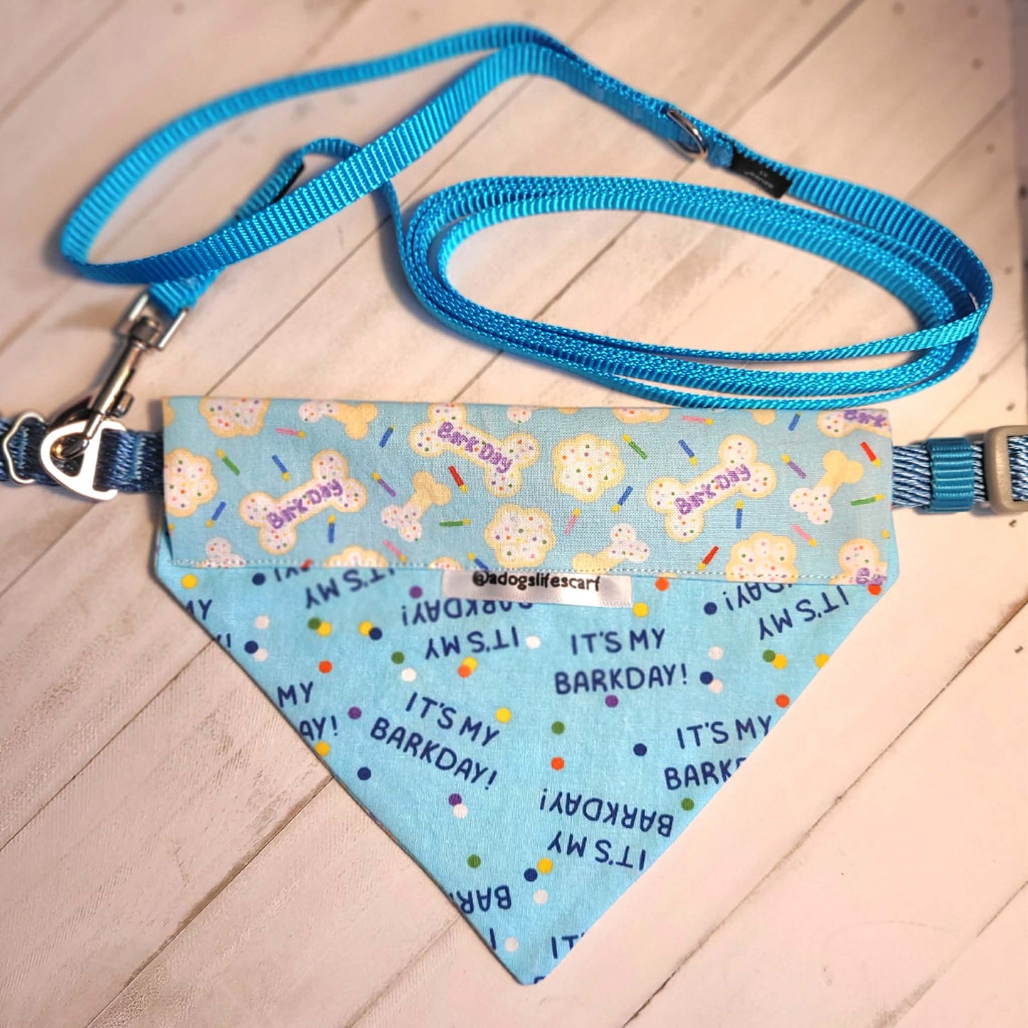 Barkday (blue) Collar Scarf