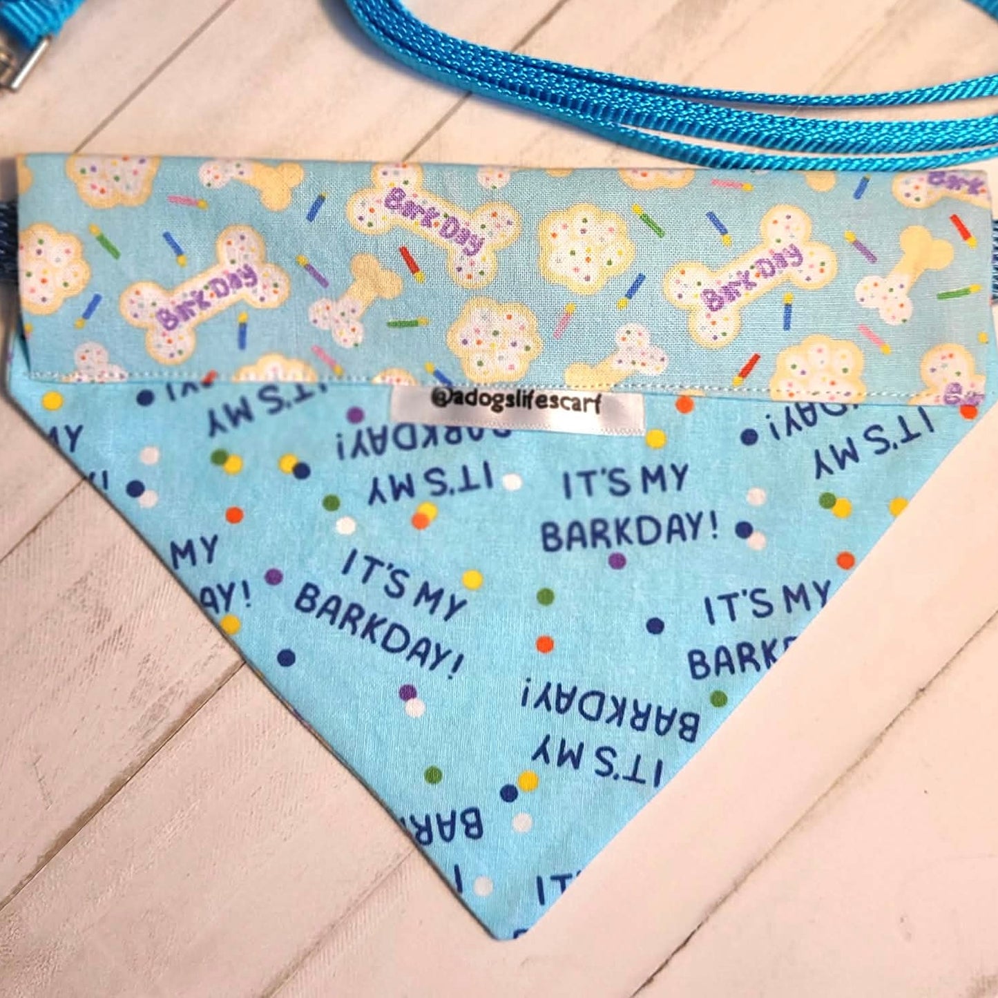 Barkday (blue) Collar Scarf