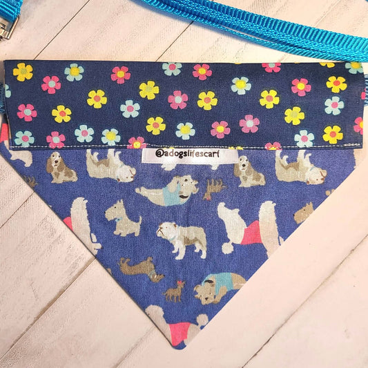 Spring is for the Dogs Collar Scarf