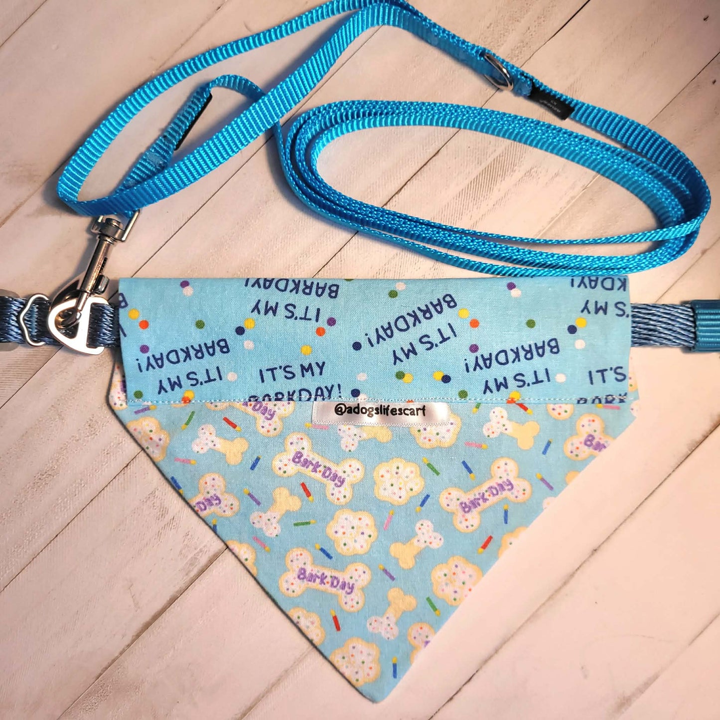 Barkday (blue) Collar Scarf