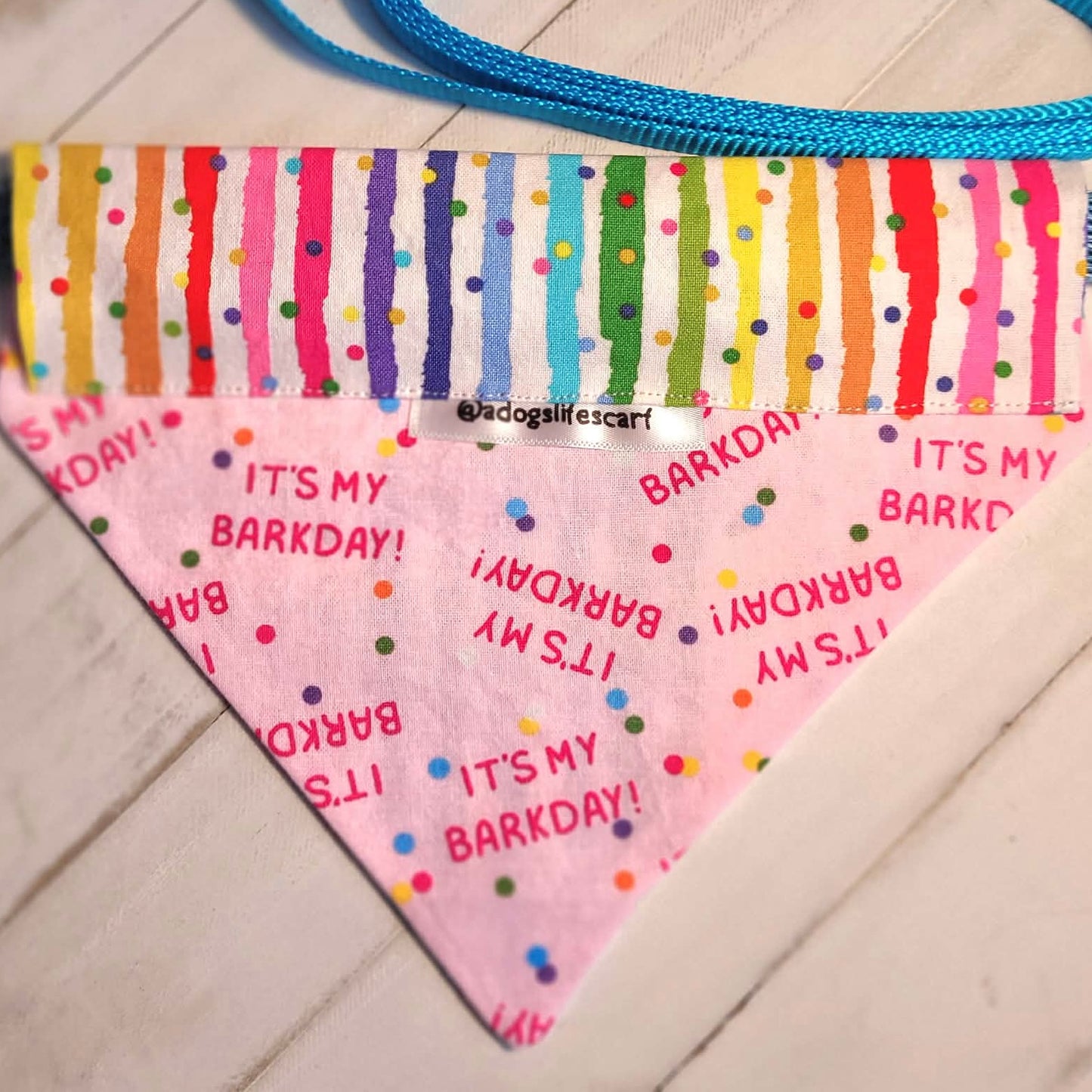 Barkday (multi stripe) Collar Scarf