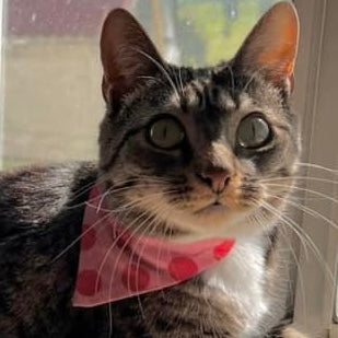 Kiss Kiss Valentine's Scarf