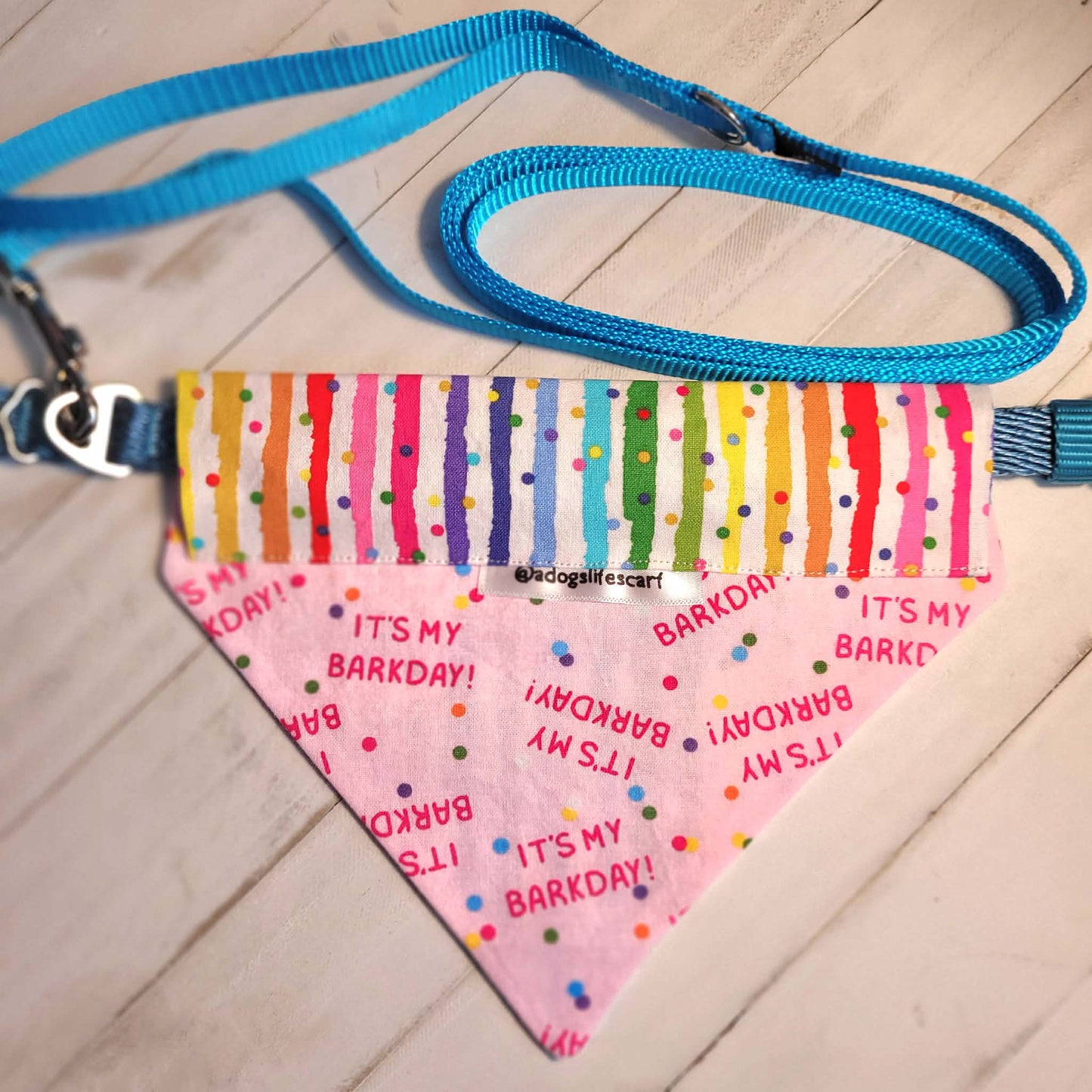 Barkday (multi stripe) Collar Scarf