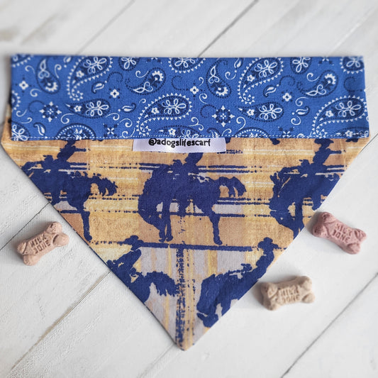 Bandana Broncos Collar Scarf