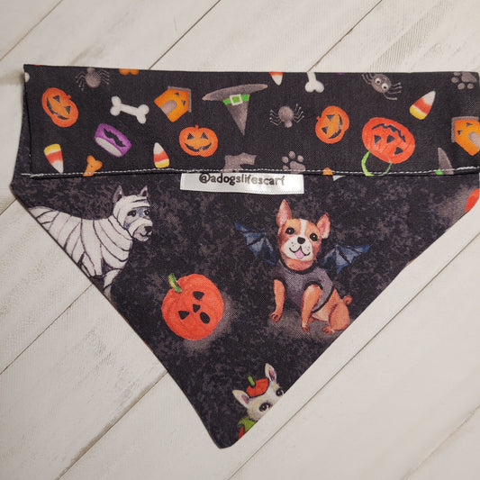 Trick or Treat Dogs Halloween Scarf