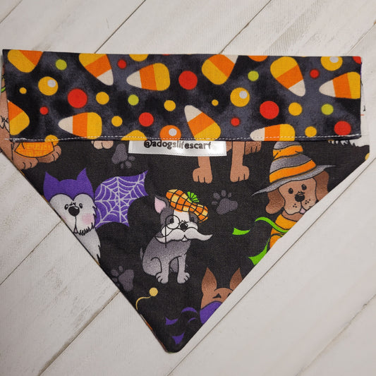 Costumed Canines Halloween Scarf