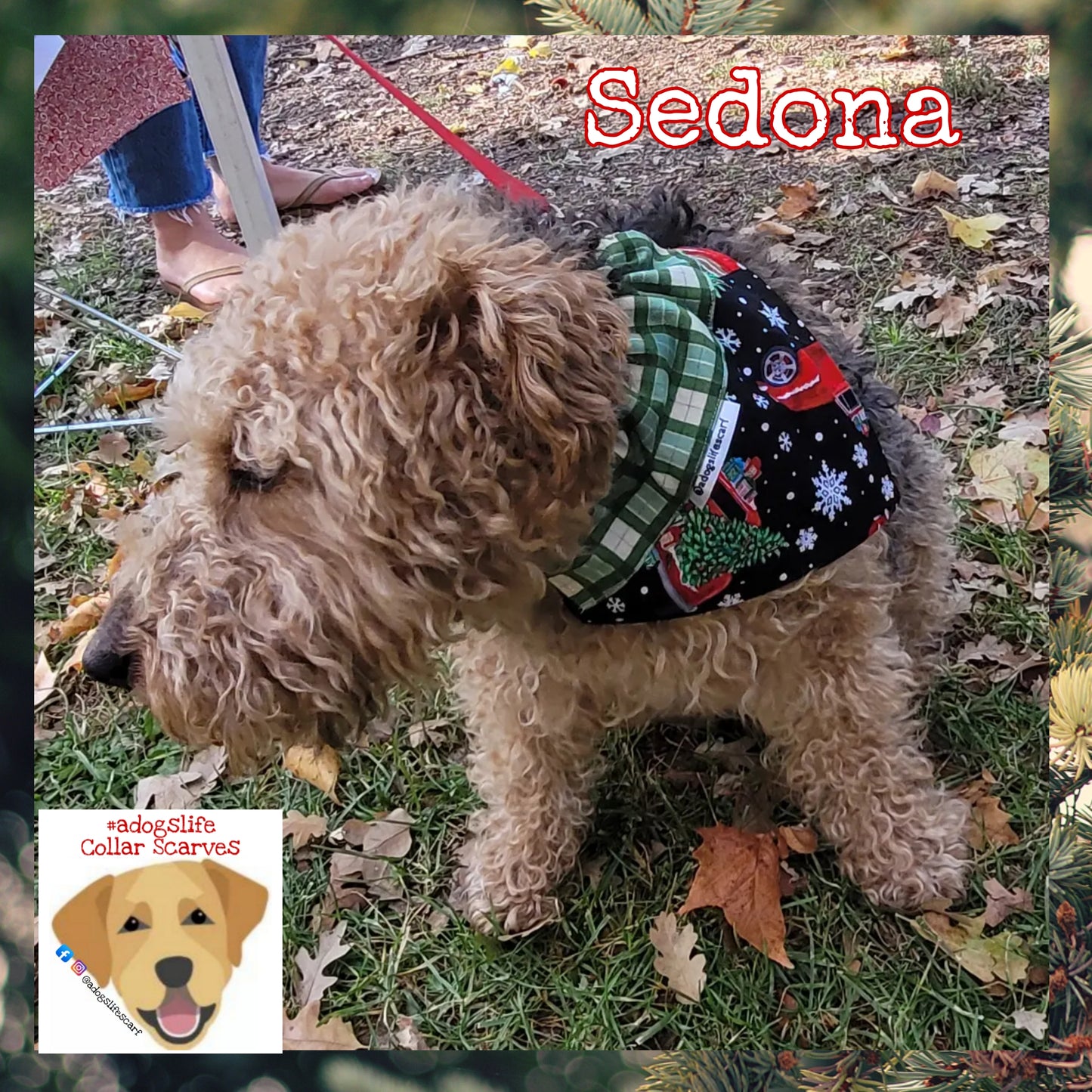 Red Truck Plaid Christmas Scarf